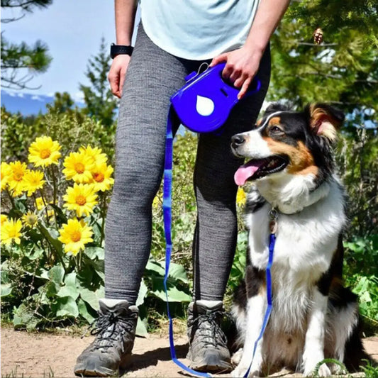 Portable Multifunctional Automatic Retractable Pet Leash